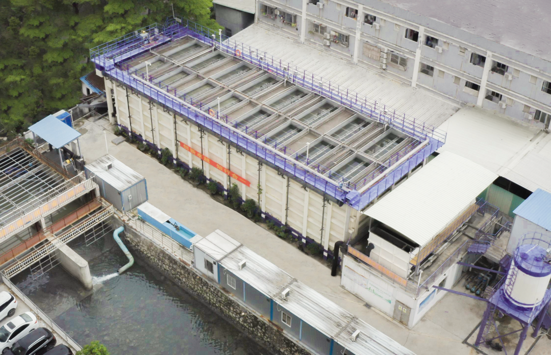 Z6¡¤×ðÁú¡¸Öйú¡¹¹Ù·½ÍøÕ¾