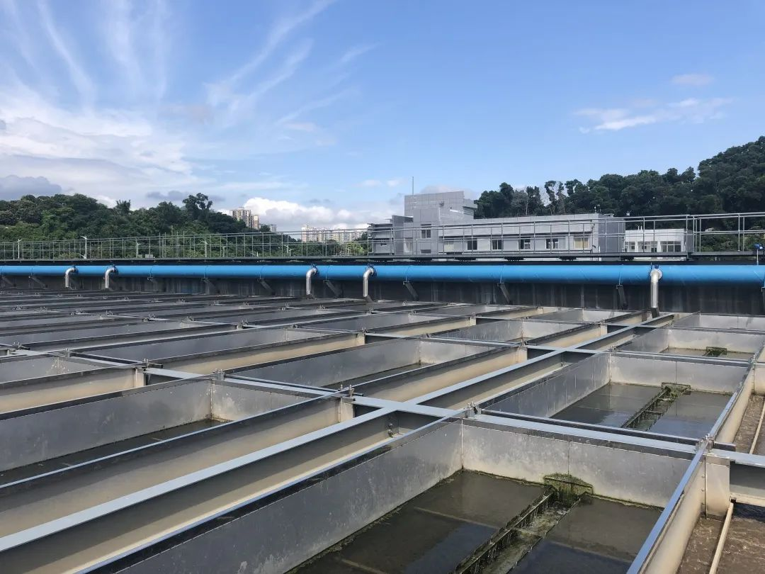 Z6¡¤×ðÁú¡¸Öйú¡¹¹Ù·½ÍøÕ¾