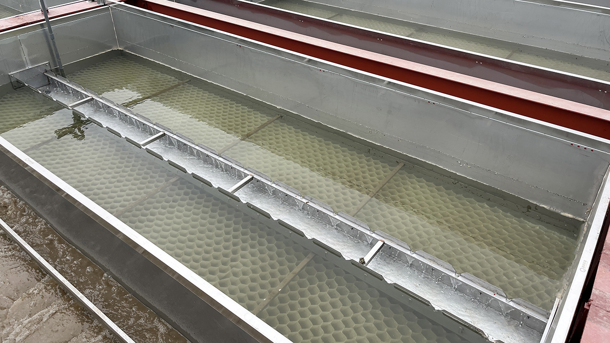 Z6·尊龙「中国」官方网站