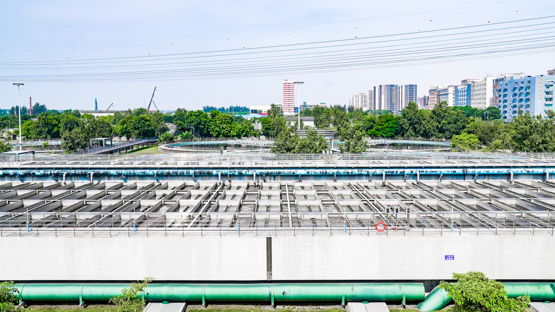 Z6¡¤×ðÁú¡¸Öйú¡¹¹Ù·½ÍøÕ¾