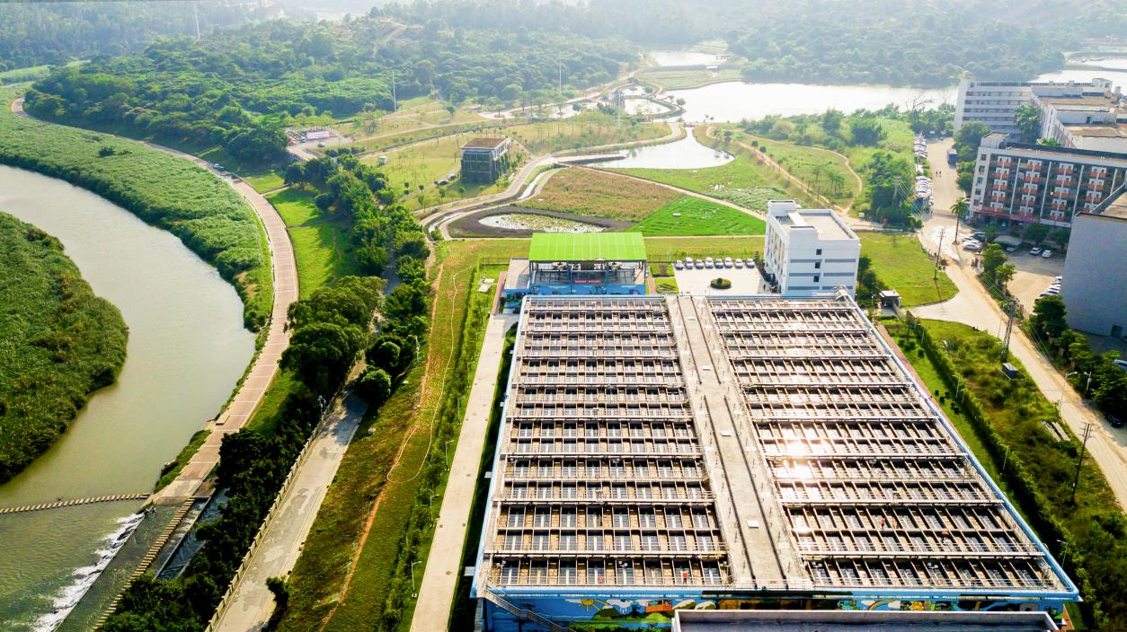 Z6¡¤×ðÁú¡¸Öйú¡¹¹Ù·½ÍøÕ¾