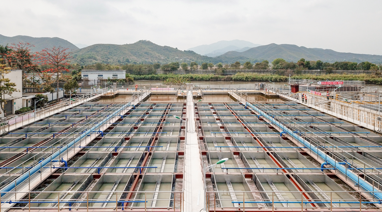 Z6¡¤×ðÁú¡¸Öйú¡¹¹Ù·½ÍøÕ¾