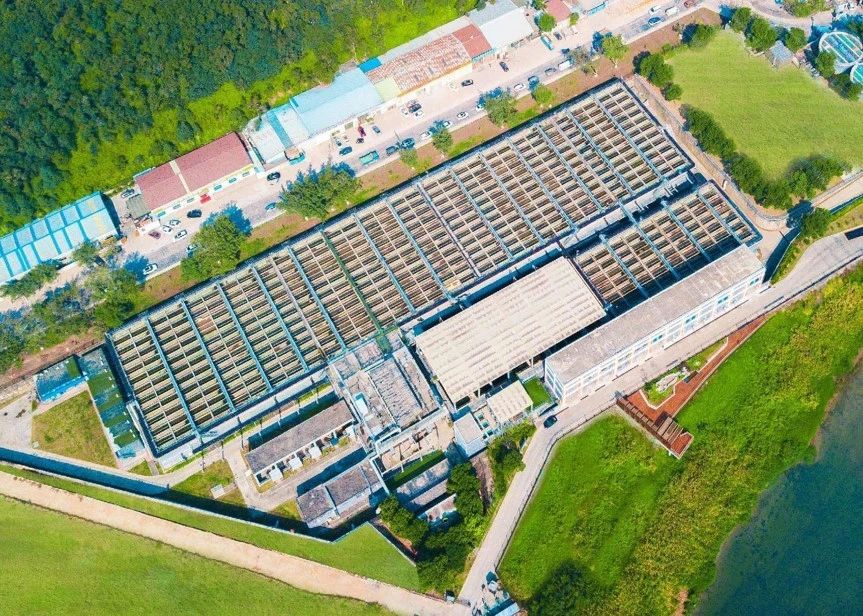 Z6¡¤×ðÁú¡¸Öйú¡¹¹Ù·½ÍøÕ¾